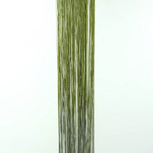 Load image into Gallery viewer, Door Windows Curtains for Living Room 200cm x 100cm Divider Yarn String Curtain Strip Tassel Drape Decor Elegant Style Curtains